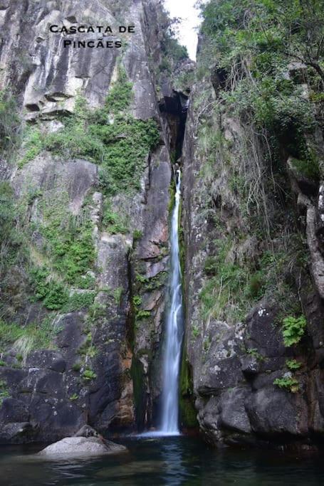Casinha Estrela Da Encosta - Geres Vila Vieira do Minho Exterior foto